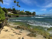 Gorgeous photo of tropical rocky moss covered beach with photo by Hawaii Concierge Couseling by Bruce Berger