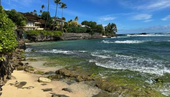 Gorgeous photo of tropical rocky moss covered beach with photo by Hawaii Concierge Couseling by Bruce Berger