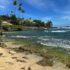 Gorgeous photo of tropical rocky moss covered beach with photo by Hawaii Concierge Couseling by Bruce Berger