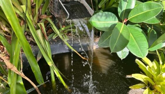 Calm photo of water falling with photo by Hawaii Concierge Couseling by Bruce Berger